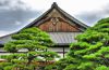 Nijo Castle - Kyoto